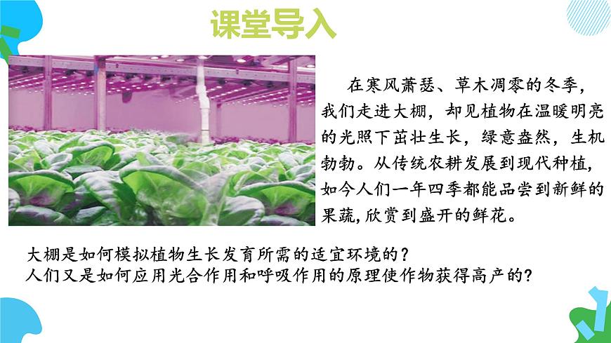 初中 生物 苏教版（2024）七年级下册4.11.3 光合作用和呼吸作用原理的应用 课件第2页