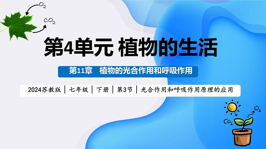 初中 生物 苏教版（2024）七年级下册4.11.3 光合作用和呼吸作用原理的应用 课件第3页