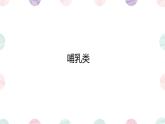 初中 生物 魯科版 (五四制)2024 六年級下冊3.2.5 哺乳類 課件