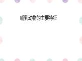 初中 生物 魯科版 (五四制)2024 六年級下冊3.2.5 哺乳類 課件