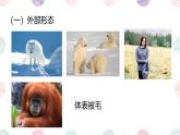 初中 生物 魯科版 (五四制)2024 六年級下冊3.2.5 哺乳類 課件