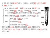 濟南版生物七年級下冊知識要點背誦 課件