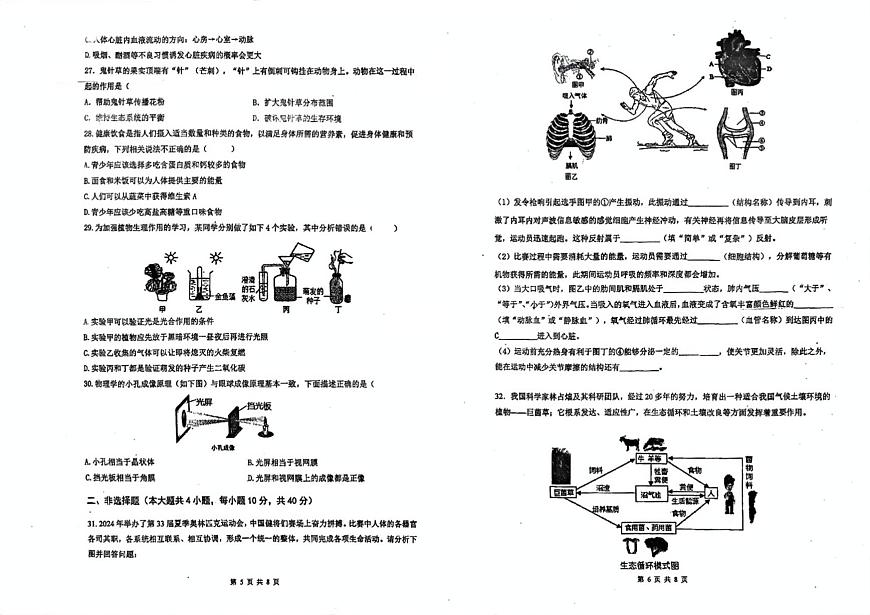 2025年广东省潮州市湘桥区八年级第二次模拟考生物试题 （pdf版，含答案）第3页