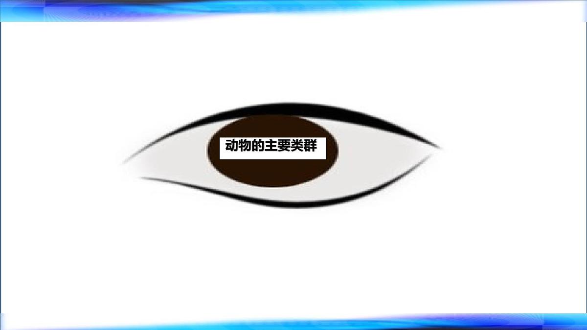初中 生物 鲁科版 (五四制)2024 六年级下册3.2动物的主要类群 课件第1页