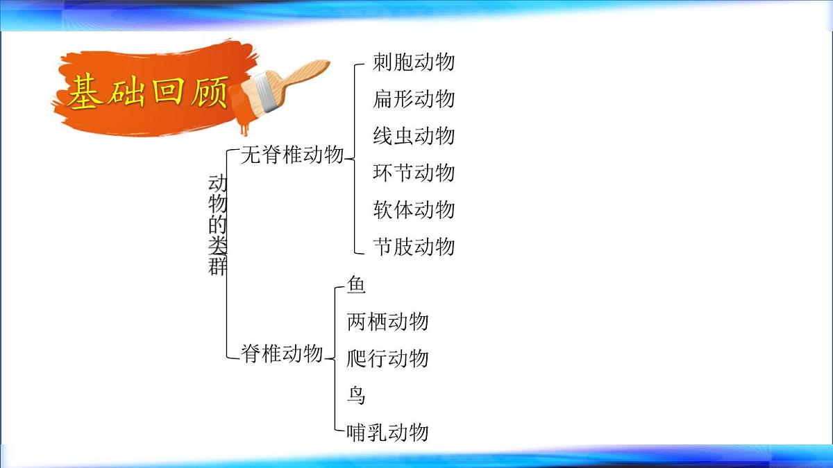 初中 生物 鲁科版 (五四制)2024 六年级下册3.2动物的主要类群 课件第2页