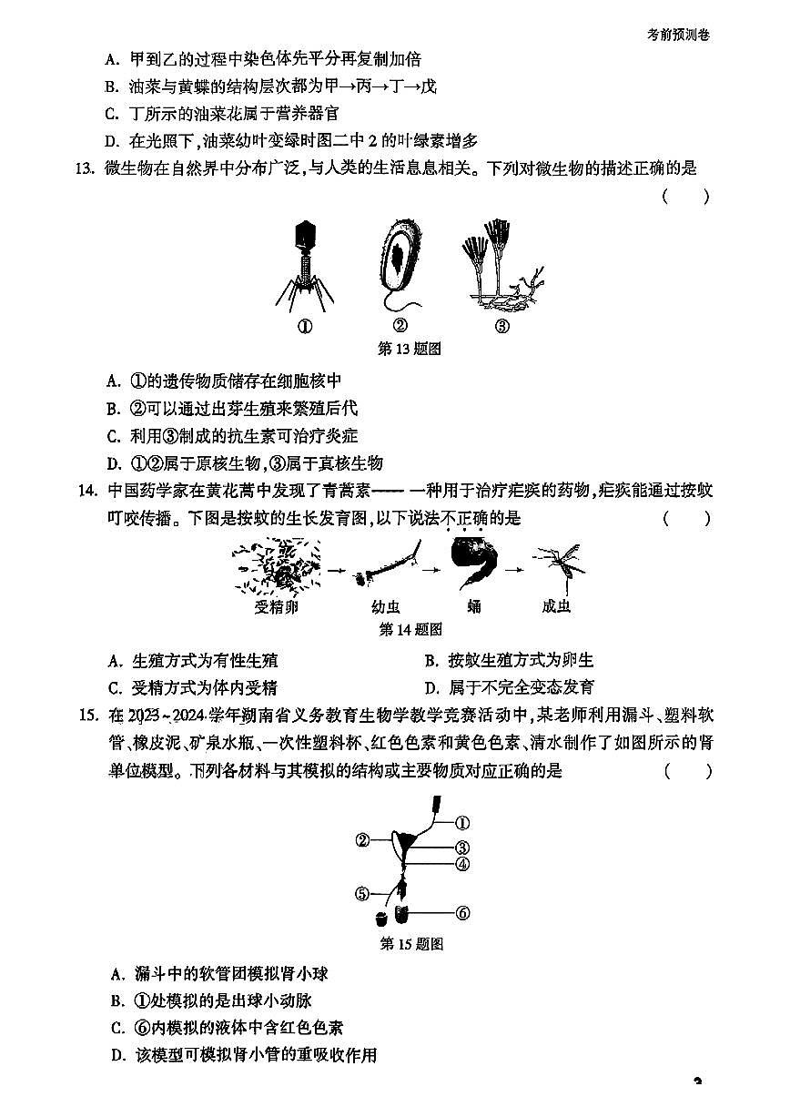 2025年中考生物模拟预测押题卷（一）及其答案第3页