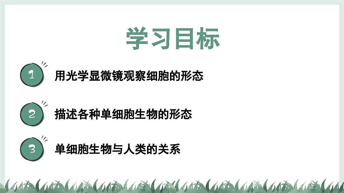 1.1.2细胞的形态（教学课件）——初中生物学冀少版（2024）七年级上册第2页
