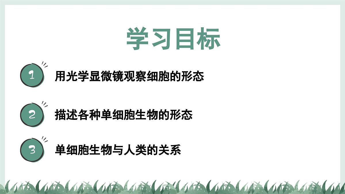 1.1.2细胞的形态（教学课件）——初中生物学冀少版（2024）七年级上册第2页