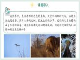 1.1.2細(xì)胞的形態(tài)（教學(xué)課件）——初中生物學(xué)冀少版（2024）七年級上冊