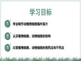 1.1.3細(xì)胞的結(jié)構(gòu)（教學(xué)課件）——初中生物學(xué)冀少版（2024）七年級上冊