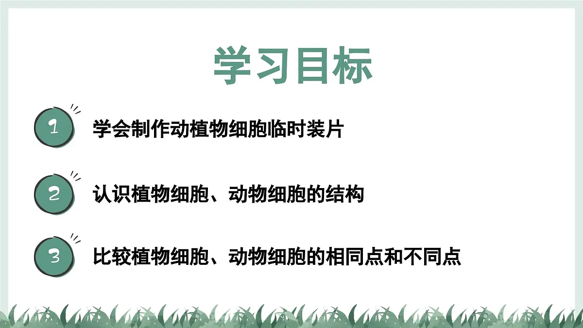 1.1.3细胞的结构（教学课件）——初中生物学冀少版（2024）七年级上册第2页