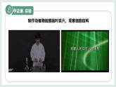 1.1.3細(xì)胞的結(jié)構(gòu)（教學(xué)課件）——初中生物學(xué)冀少版（2024）七年級上冊