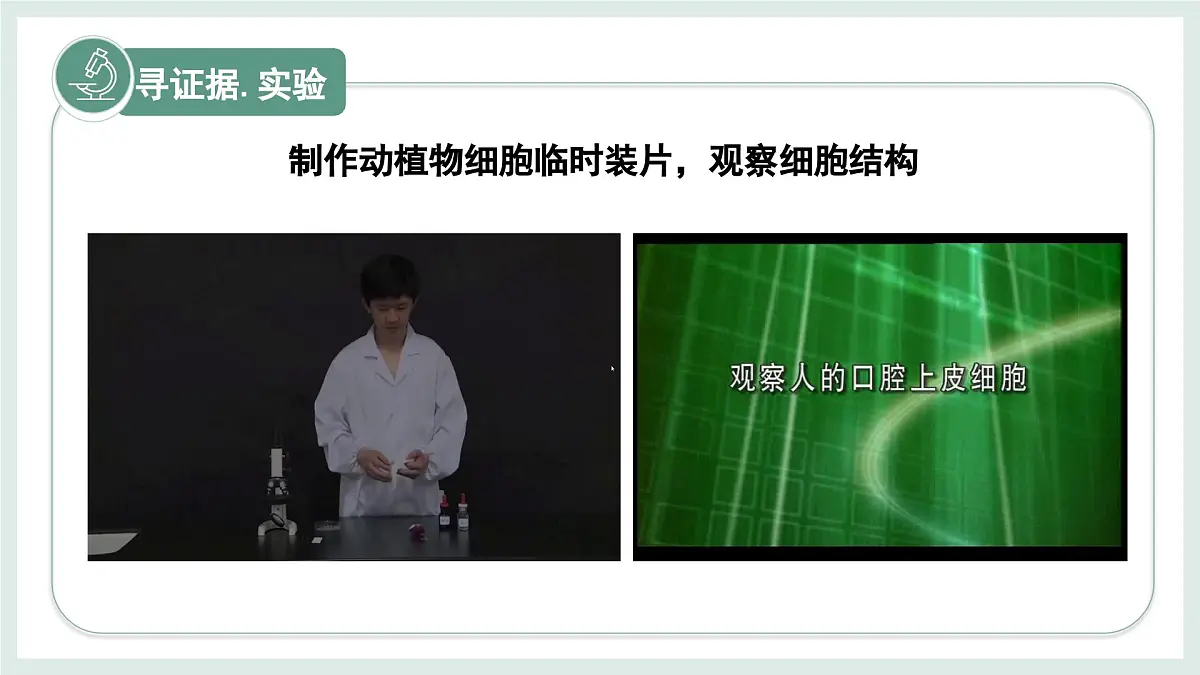1.1.3细胞的结构（教学课件）——初中生物学冀少版（2024）七年级上册第5页