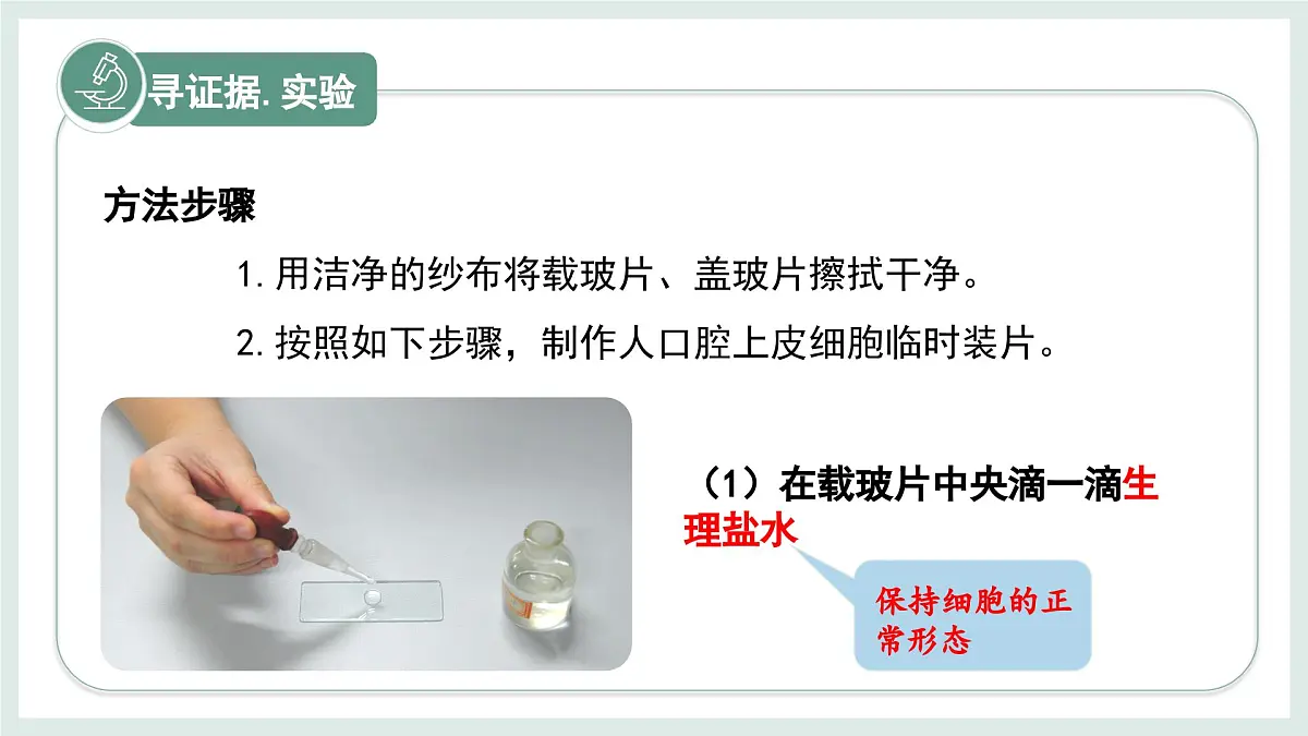 1.1.3细胞的结构（教学课件）——初中生物学冀少版（2024）七年级上册第6页