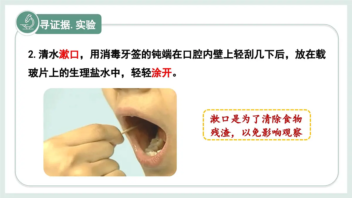 1.1.3细胞的结构（教学课件）——初中生物学冀少版（2024）七年级上册第7页
