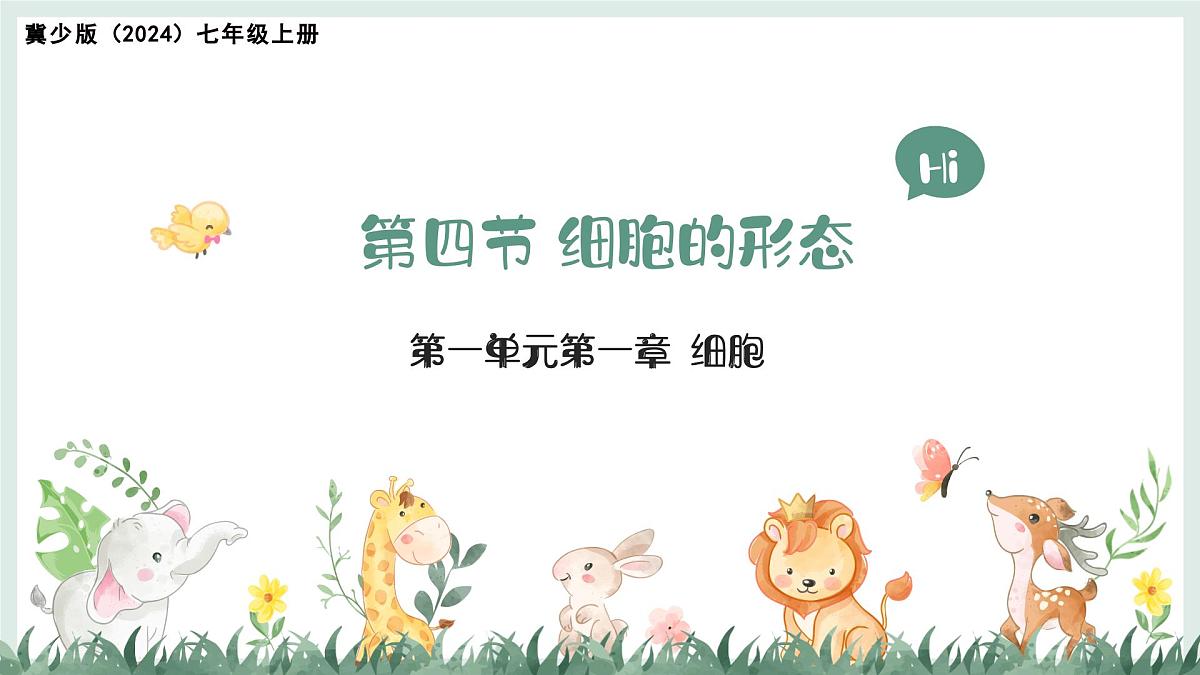 1.1.4细胞的生命活动（教学课件）——初中生物学冀少版（2024）七年级上册第1页