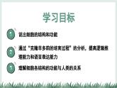 1.1.4細(xì)胞的生命活動（教學(xué)課件）——初中生物學(xué)冀少版（2024）七年級上冊