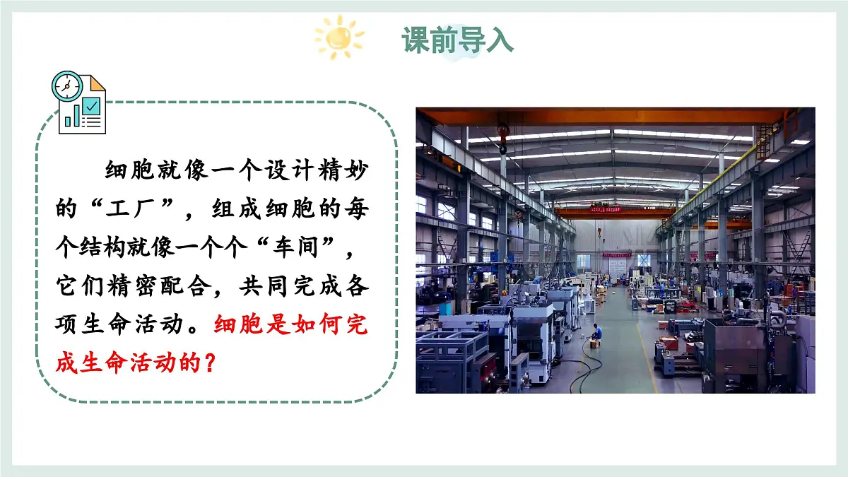 1.1.4细胞的生命活动（教学课件）——初中生物学冀少版（2024）七年级上册第3页