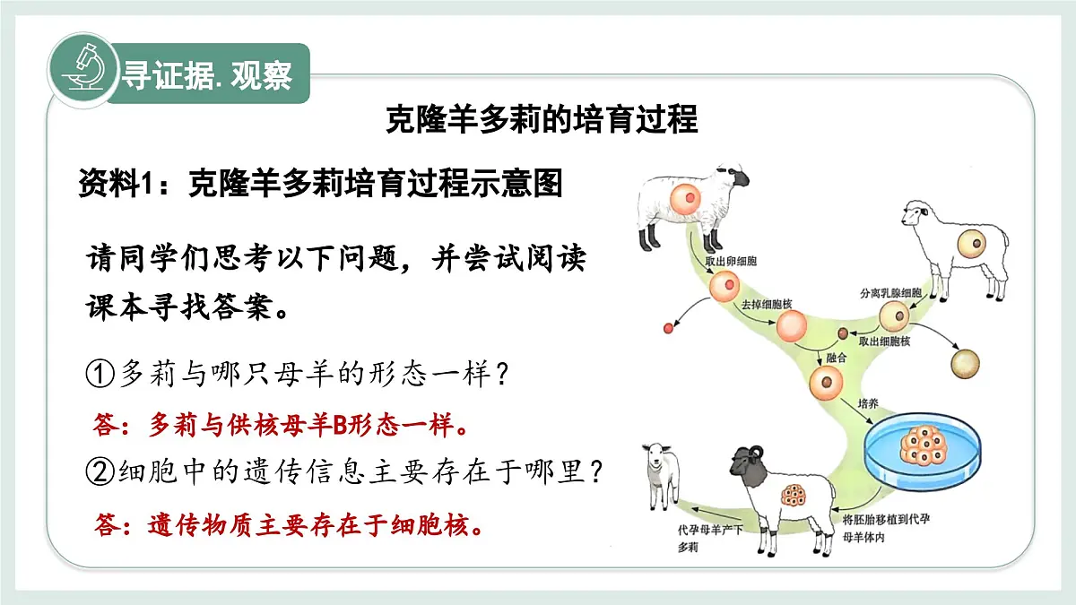 1.1.4细胞的生命活动（教学课件）——初中生物学冀少版（2024）七年级上册第4页