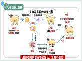 1.1.4細(xì)胞的生命活動（教學(xué)課件）——初中生物學(xué)冀少版（2024）七年級上冊
