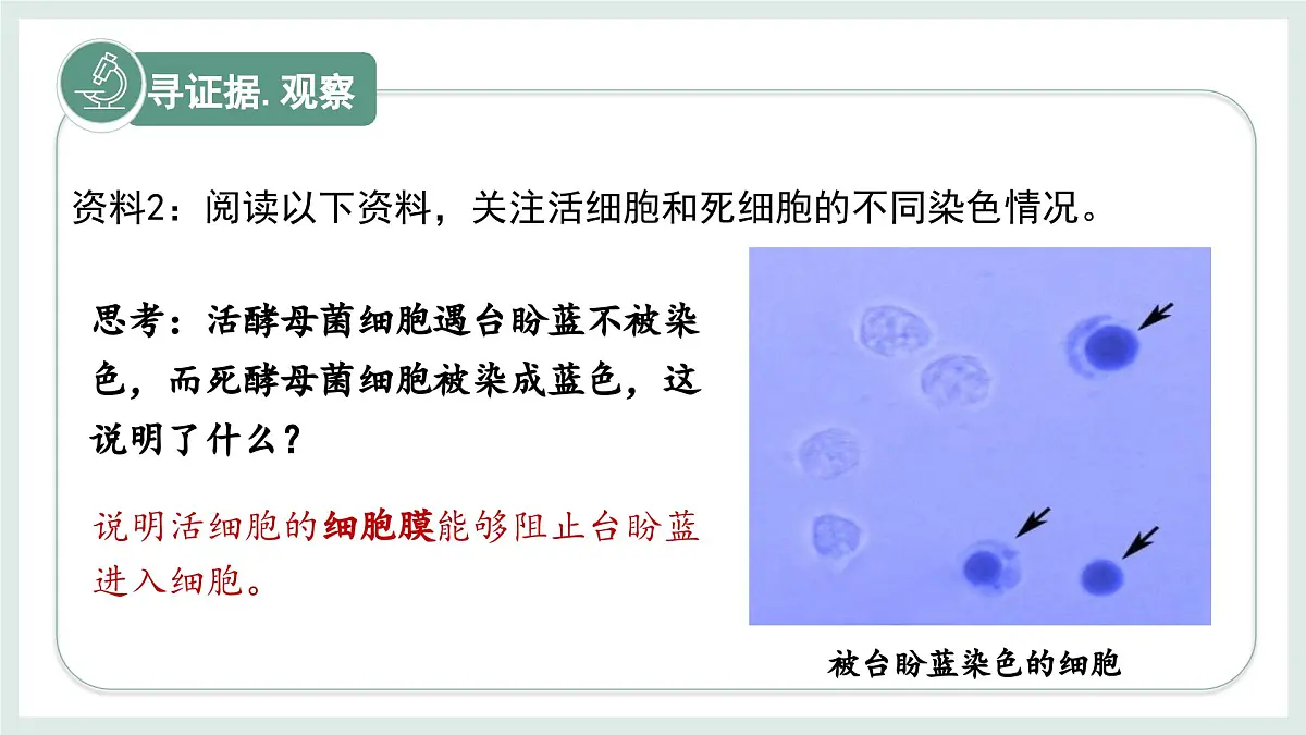 1.1.4细胞的生命活动（教学课件）——初中生物学冀少版（2024）七年级上册第7页