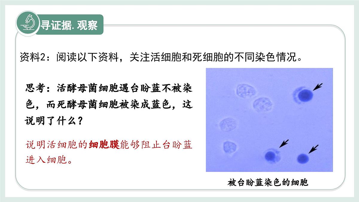 1.1.4细胞的生命活动（教学课件）——初中生物学冀少版（2024）七年级上册第7页