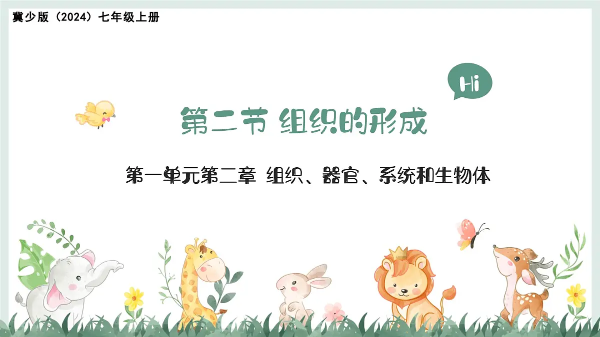 1.2.2组织的形成（教学课件）——初中生物学冀少版（2024）七年级上册第1页
