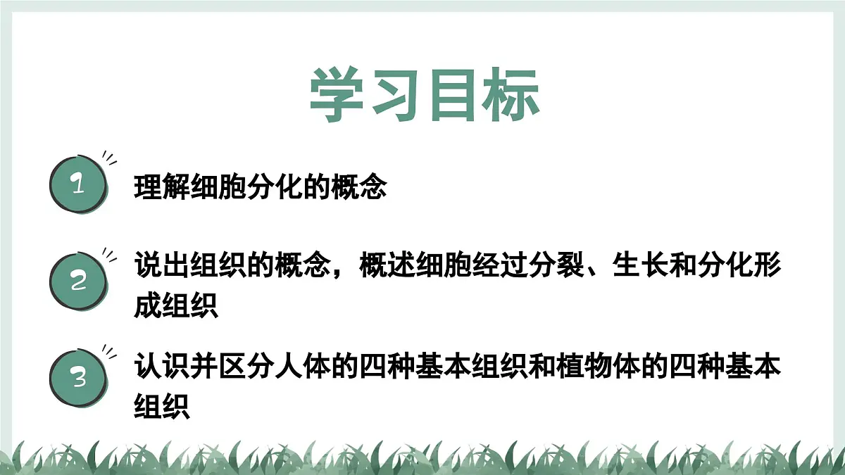 1.2.2组织的形成（教学课件）——初中生物学冀少版（2024）七年级上册第2页