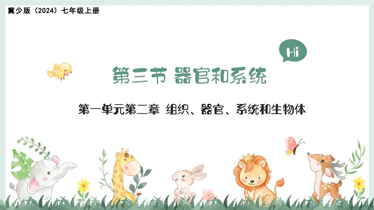 1.2.3器官和系统（教学课件）——初中生物学冀少版（2024）七年级上册第1页