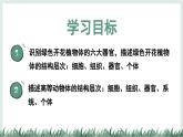 1.2.3器官和系統(tǒng)（教學(xué)課件）——初中生物學(xué)冀少版（2024）七年級上冊