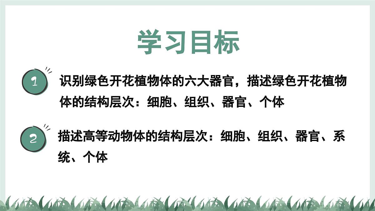 1.2.3器官和系统（教学课件）——初中生物学冀少版（2024）七年级上册第2页