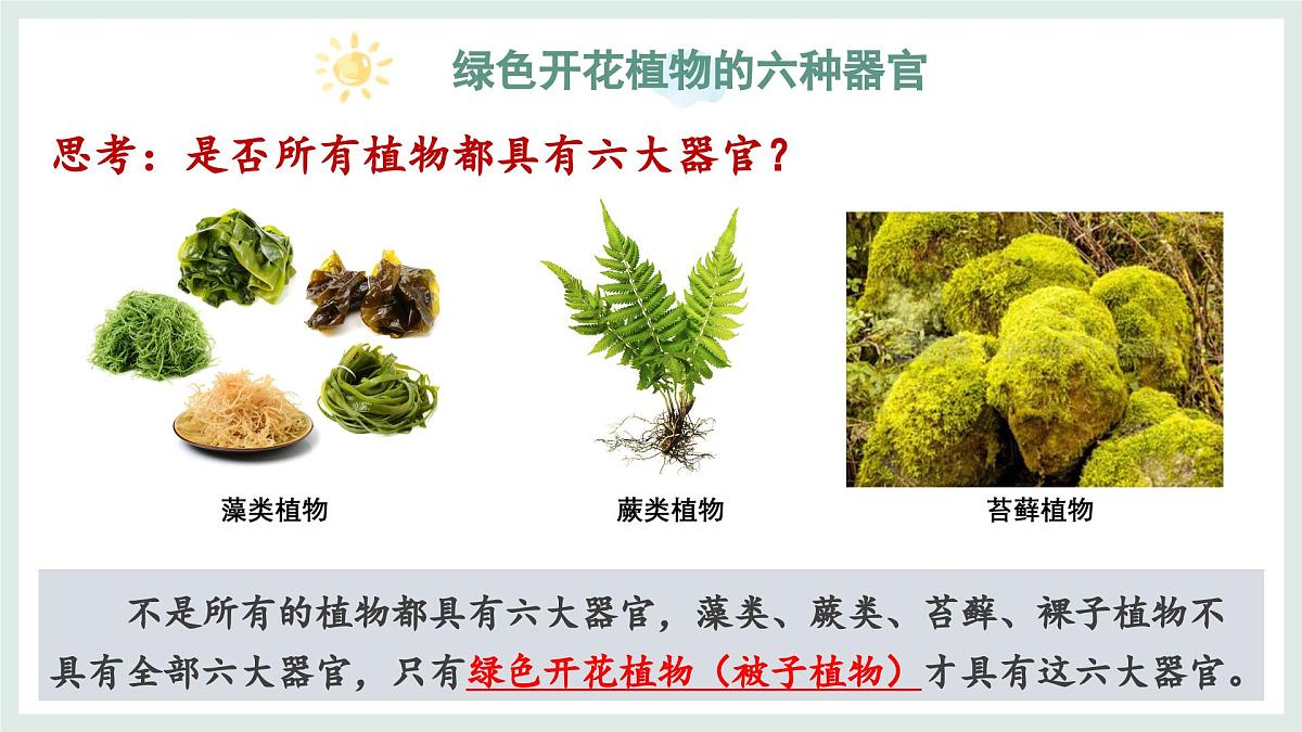 1.2.3器官和系统（教学课件）——初中生物学冀少版（2024）七年级上册第7页