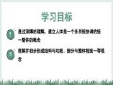1.2.4生物體（教學(xué)課件）——初中生物學(xué)冀少版（2024）七年級上冊