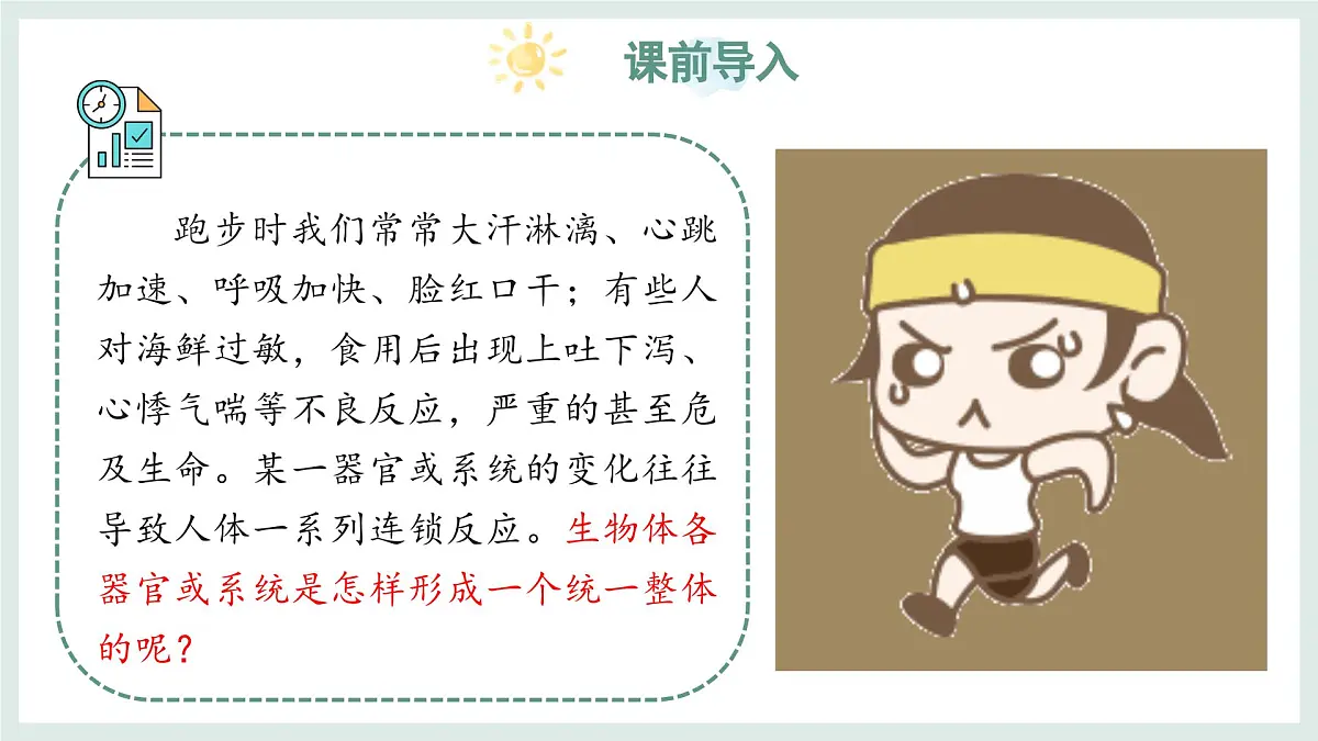 1.2.4生物体（教学课件）——初中生物学冀少版（2024）七年级上册第3页