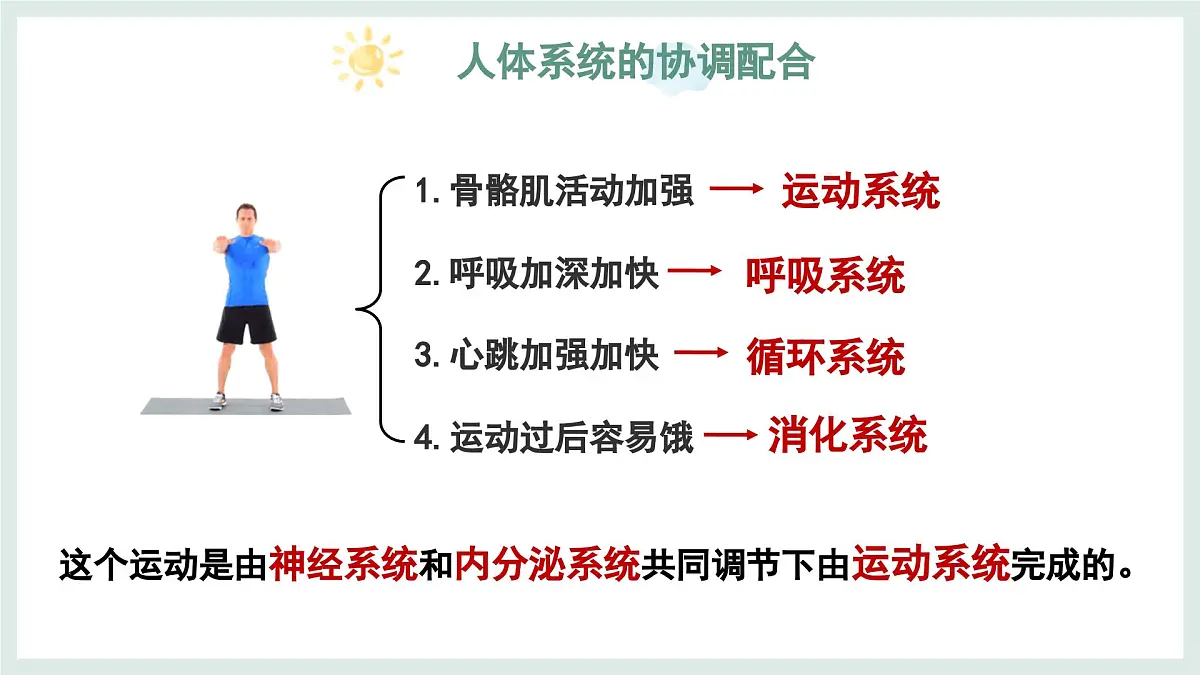 1.2.4生物体（教学课件）——初中生物学冀少版（2024）七年级上册第5页