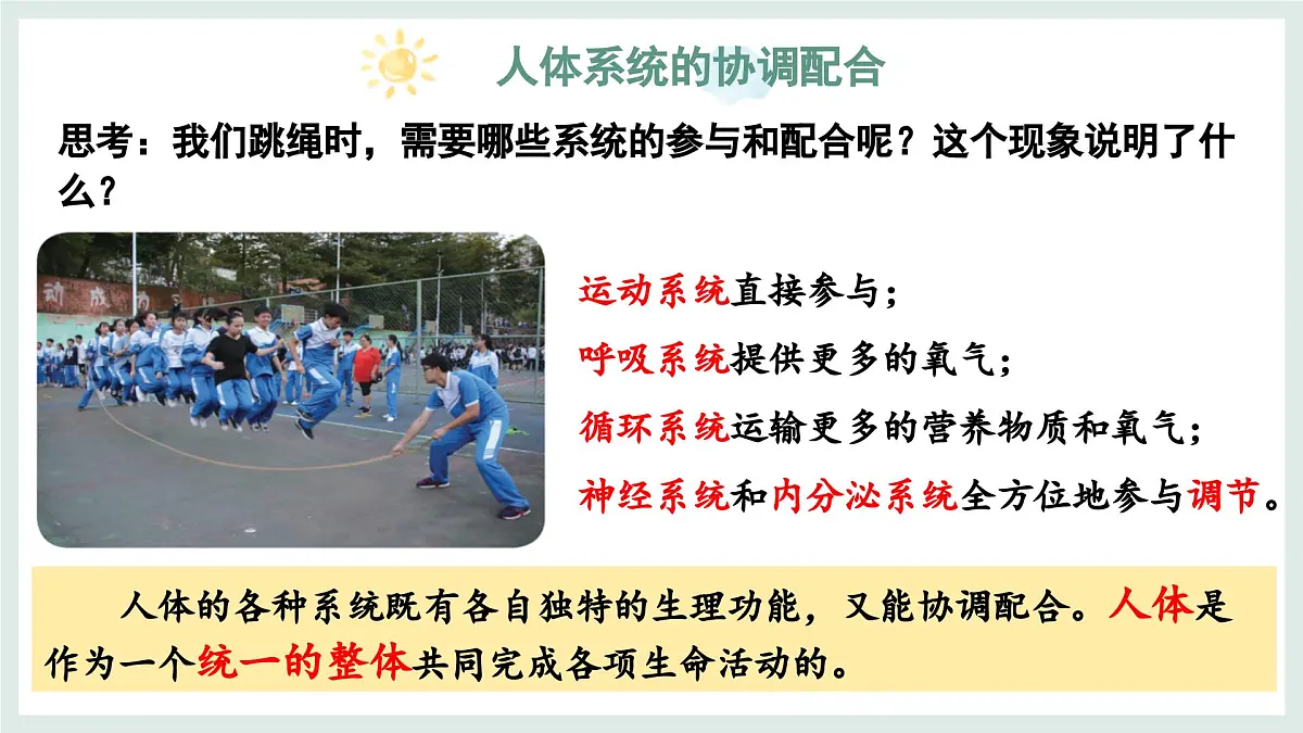 1.2.4生物体（教学课件）——初中生物学冀少版（2024）七年级上册第6页