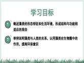 2.1.1藻類（教學(xué)課件）——初中生物學(xué)冀少版（2024）七年級上冊