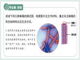 2.2.1病毒（教學(xué)課件）——初中生物學(xué)冀少版（2024）七年級上冊