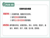 2.2.3真菌（教學(xué)課件）——初中生物學(xué)冀少版（2024）七年級上冊
