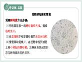 2.2.3真菌（教學(xué)課件）——初中生物學(xué)冀少版（2024）七年級上冊