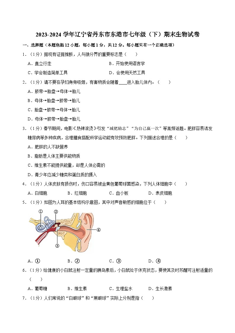辽宁省丹东市东港市2023-2024学年七年级下学期期末考试生物试卷第1页