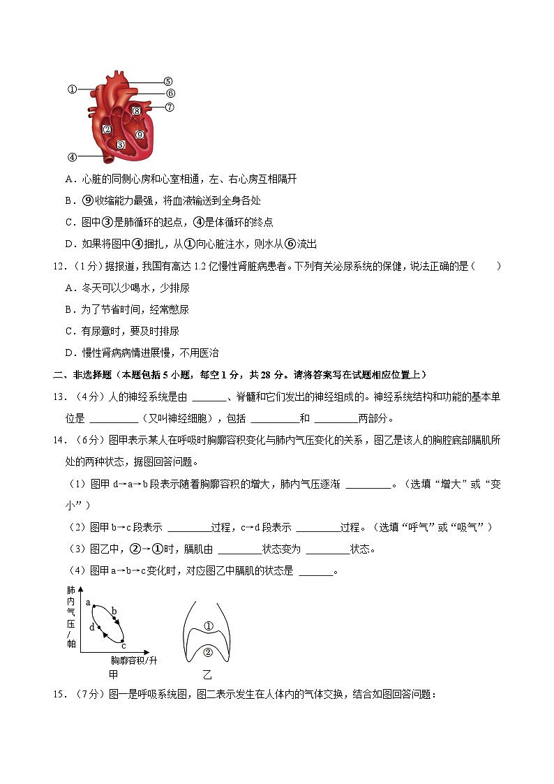 辽宁省丹东市东港市2023-2024学年七年级下学期期末考试生物试卷第3页