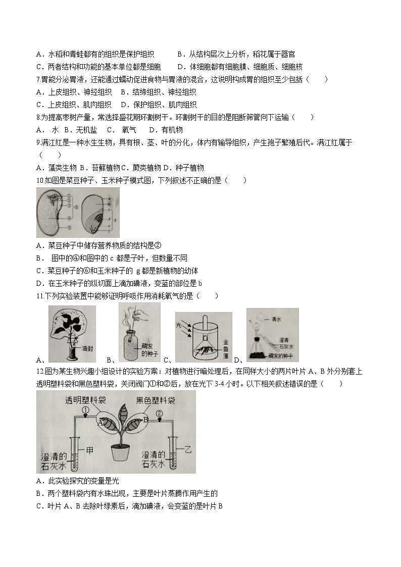 2025年福建省三明市尤溪县中考模拟生物试题（中考模拟）第2页