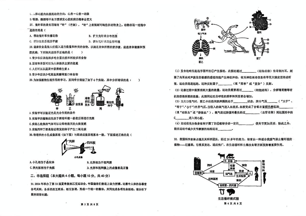 2025年广东省潮州市湘桥区八年级第二次模拟考生物试题 　（中考模拟）第3页