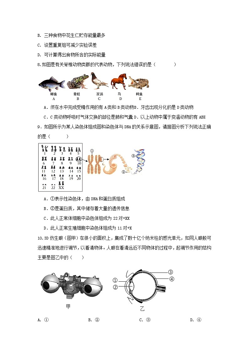 2025年湖北省黄石市下陆区部分学校中考第二次模拟考试生物试卷（中考模拟）第3页