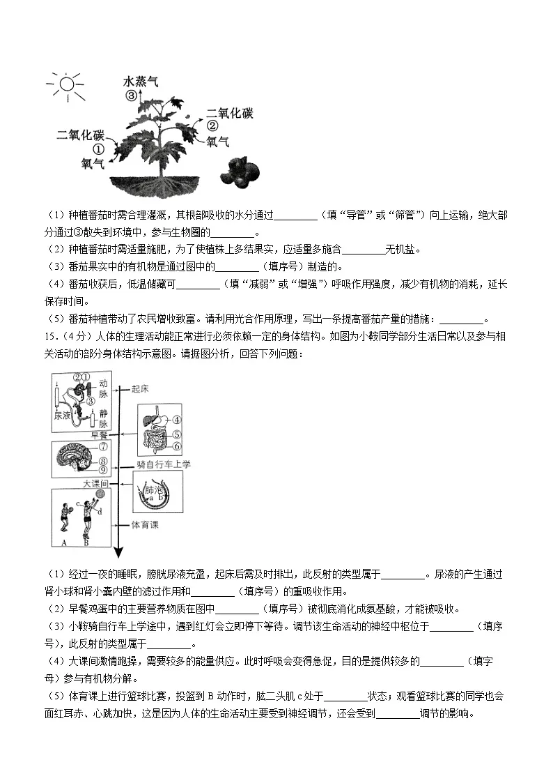 2025年辽宁省鞍山市中考二模生物试题（中考模拟）第3页