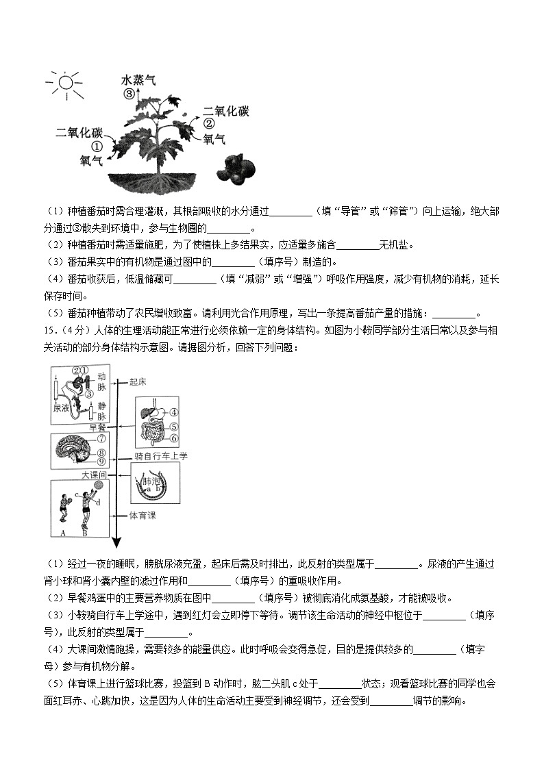 2025年辽宁省鞍山市中考二模生物试题（中考模拟）第3页