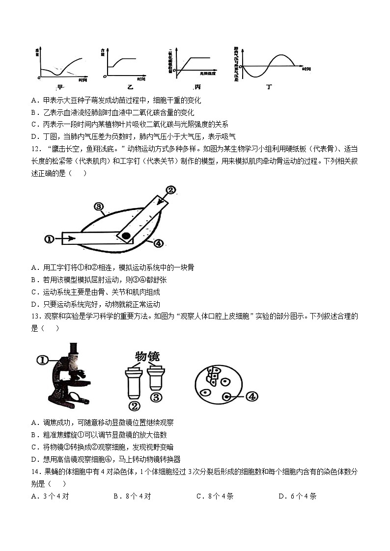 2025年山东省菏泽经济技术开发区中考三模生物试题（中考模拟）第3页