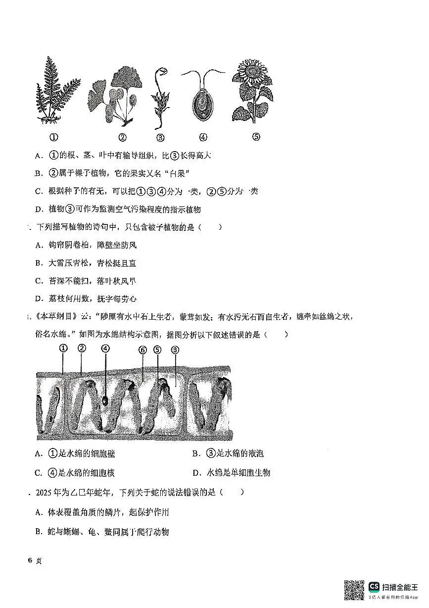 江苏省苏州市苏州工业园区星湖学校2024-2025学年七年级下学期期末考试生物卷(图片版含答案)第2页