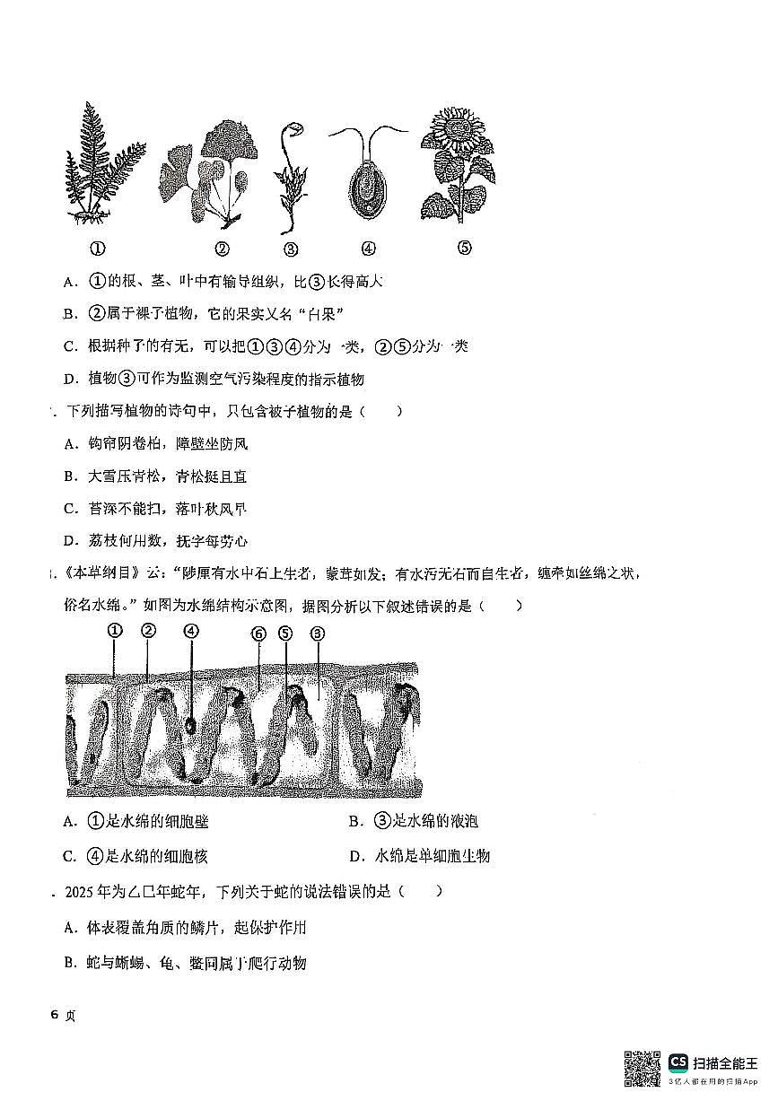江苏省苏州市苏州工业园区星湖学校2024-2025学年七年级下学期期末考试生物卷(图片版含答案)第2页